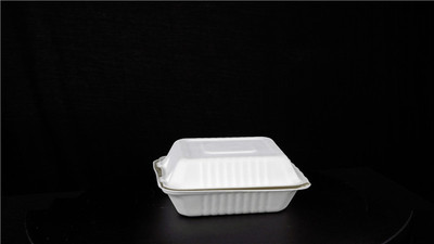 全生物降解快餐盒方形无格