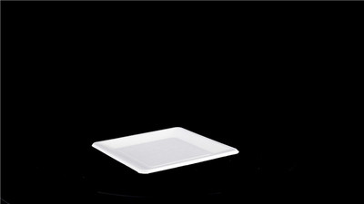 全生物降解中号托盘